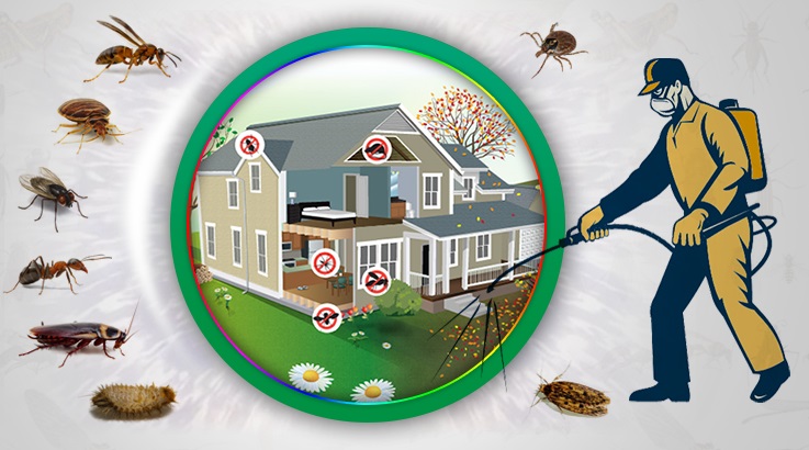 Ilıpınar Böcek İlaçlama